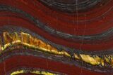 Polished Tiger Iron Stromatolite - Billion Years #129209-1